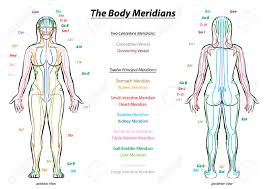 meridian system chart female body with principal and centerline