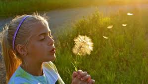 Annual Tribune Photo Contest Results