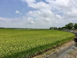 The site owner hides the web page description. å°åå¸å¾å£å èå¯®ç¡ç±³æ¨ç¤¾å 2017 05 31 ç¢§å'çè¶³è·¡ çå®¢é¦