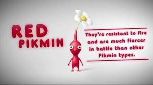 Red Pikmin Christmas Ornaments Novelty Sign Novelty Christmas