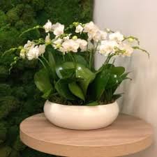 West hollywood florist, 8205 santa monica blvd flowers, west hollywood flowers, ca 90046, florist, flowers, los angeles florist. Earth Day Flowers Delivery West Hollywood Mosaic Floral Event Design