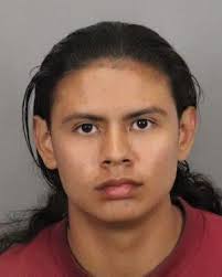 Businesswoman fatally shot in Westmoorings home invasion Businesswoman Nicole  Moses died protecting her family during a home invasion in Westmoorings