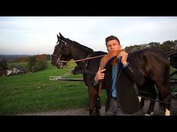 You Raise Me Up Pan Flute Du Hebst Mich Auf Panflote David Doring Panpipe Flauta De Pan Youtube Pan Flute Native Flute Sarah Mclachlan
