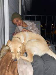 Omar issued a statement thursday clarifying her comments after she was met with a flood of criticism from not only republicans on the hill, but from members of her own party. Ilhan Omar On Twitter Happy Nationalpetday To Our Not So Small Boy Teddy