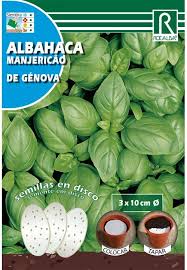 Welcome to the basil website shop. Sale Of Rocalba Basil De Genova Seeds Discs