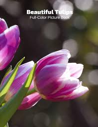 Flowers color full color full color flowers full flowers colorful flower flora garden bloom spring beautiful tulip holland fresh blossom vibrant petals high definition picture petal keukenhof red nature tulips green purple yellow stamens background fickleness netherlands bed floral pretty field blossoms. Beautiful Tulips Full Color Picture Book Flower Picture Book For Children Seniors And Alzheimer S Patients Flowers Nature Gardening Book Press Fabulous 9798623814937 Amazon Com Books