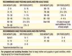 Stella Chewys Raw Blend Baked Kibble With Wholesome Grains Cage Free Recipe With Pumpkin Quinoa