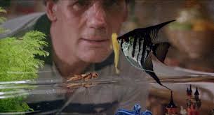 A Fish Called Wanda (1988)