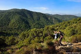 Ce massif tire son nom de la couleur sombre de ses roches et de son couvert forestier de chênes lièges et chênes verts. Balade Dans Le Massif Des Maures I Detours En France