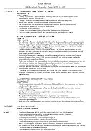 Sales Business Development Manager Resume Samples Velvet Jobs