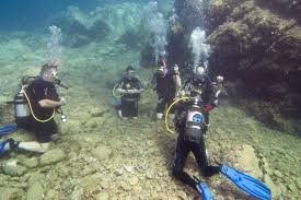 These organizations may vary slightly in ways of teaching, certifications, and other things. Pin On Scuba Diving Articles