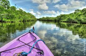 The visitor center and aquarium at john pennekamp coral reef state park is reopening with new exhibits on july 1! Sp Campground Review John Pennekamp Coral Reef State Park Key Largo Fl Wheeling It Tales From A Nomadic Life
