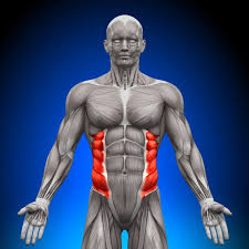 What pain on your right side could mean. What Is Rib Flare How To Prevent It Builtlean