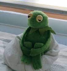 Pin On Kermits