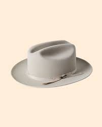 Image result for stetson