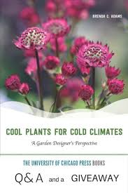Perennials To Plant In Fall For Spring Color Gardening Know How S Blog Cool Plants Plants Fairy Garden Plants