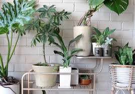 A la plantation, conservez un espacement de 50 cm entre les plants. 15 Idees Pour Mettre Son Balcon Au Vert Elle Decoration