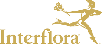 Il y a quelques imperfections sur. Flowers Bouquets Flower Arrangements Delivered Interflora