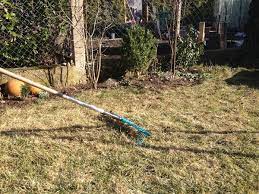 Die optimale jahreszeit zum vertikutieren ist der frühling, wenn gras bereits anfängt zu wachsen. Rasenpflege Im Fruhjahr Tipps Zum Vertikutieren Dungen Und Mahen