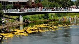 Golden Days: Rubber Duckie Race & Street Fair