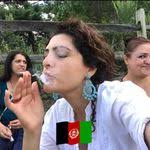 Seena Safi's Instagram, Twitter & Facebook