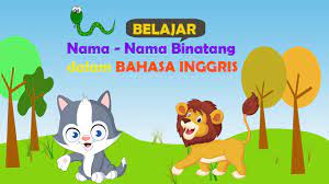 Belajar Nama Nama Binatang Dalam Bahasa Inggris Youtube