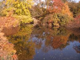 Alewife Brook Reservation