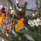 Nature's Little Elf Workshop — Blue Ridge Discovery Center