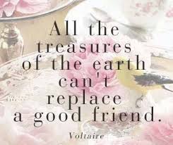 All The Treasures Of The Earth Can T Replace A Good Friend Voltaire True Friends True Friendship Best Friends