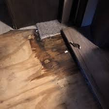 Maybe you would like to learn more about one of these? The Rv Guys 12 Reviews Rv Dealers 13239 S Interstate 35 Valley View Tx Phone Number