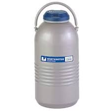 Liquid nitrogen is really great for getting kids excited about chemistry. Worthington 10ldb Liquid Nitrogen Storage Dewar 10 L 45 Day Static Hold Time Buy Online In Angola At Angola Desertcart Com Productid 12370652