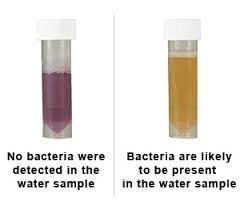 Jun 13, 2021 · if you can test after a rainfall, that would be great because the soil will flow towards your water, and you can know how much bacteria is entering your water. Use Watersafe Water Test Kit To Check Your Water Quality Instantly Thirst For Water