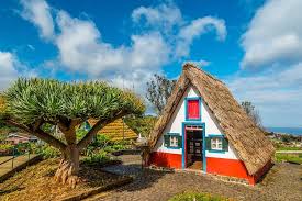 Official page of madeira and porto santo islands 🍃☀ #madeiranowordsneeded visit us ⤵️ www.madeiraallyear.com. Madeira East Tour From Funchal 2021