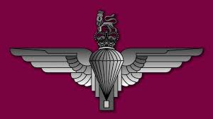 Image result for british indian army logo