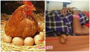 Lebih tinggi siapa antara jabatan pencuri dan pak lurah? Gambar Lucu Ayam Bertelur Gambar Lucu Status Wa Line