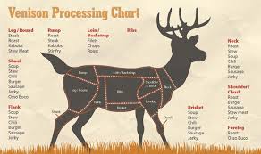 27 punctilious elk vitals diagram