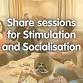 Share Session for Stimulation and Socialisation event image