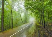 نتیجه تصویری برای آب پری