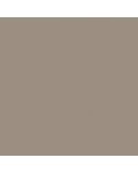 Image result for Champagne Mist 1967 Buick