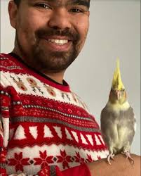 Found Cocketiel in Springfield, IL Backyard