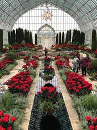 Safari wild animal park and preserve, llc is a african drive through safari park serving greater como ms, oxford ms, corinth ms, tupelo ms, clarksdale ms, grenada ms, memphis tn, southaven tn, collierville tn and jackson tn. Como Zoo Valerie S Voice