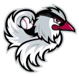 PBL - Pioneer Baseball League Travel Team at Idaho Falls Chukars