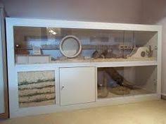 Bildergebnis Fur Expedit Hamster Cages Hamster House Hamster Diy