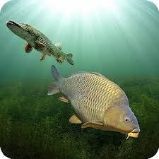 First fishing mod (one hit kill) v1.0.11 mod apk. Download First Fishing 1 0 10 Apk Mod Damage X10 For Android