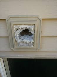 You can run a brush through the whole thing. Clogged Dryer Vent Air Duct Dryer Vent Carpet Cleaning