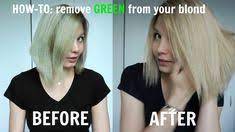 So rather than one inch to one tube of regular color, try 3/4 inch of one tube. 8 Best Blonde Hair Turned Green Ideas Blonde Hair Turned Green Swimmers Hair Green Hair