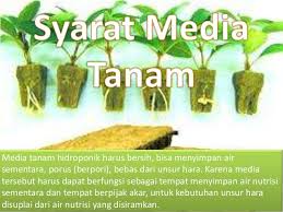 Teknik apung adalah cara menanam hidroponik dengan air statis atau tidak mengalir. Penanaman Cara Hidroponik Dan Aeroponik