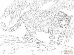 Before knowing the facts about jaguar coloring pages one. Pin On Vbs