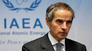 Cientistas criam micróbios para transformar aranhas mortas em zumbis  mortos-vivos