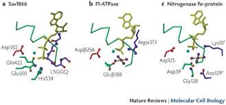 Public exposure sites in victoria. Abc Transporters The Power To Change Nature Reviews Molecular Cell Biology